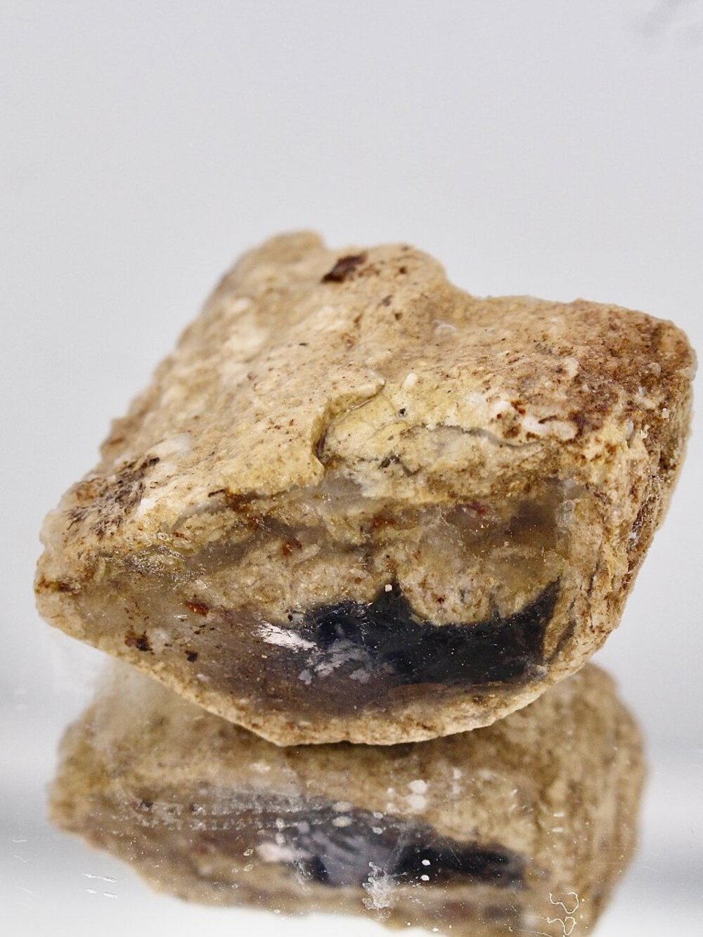 Virgin Valley Opal Petrified Wood Log Limb Cast Raw Rough Specimen Nevada 24.7g